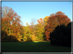 foto Parco Karlsaue in Autunno